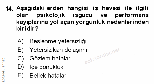 Soru 14