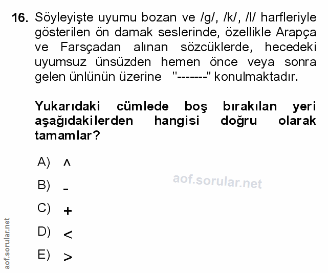 Soru 16