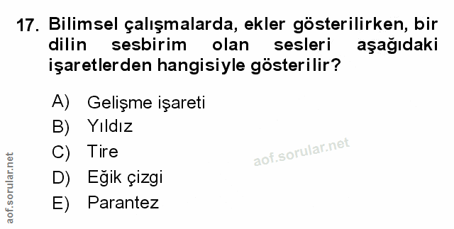 Soru 17