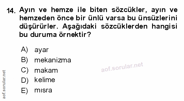 Soru 14