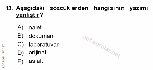 Soru 13