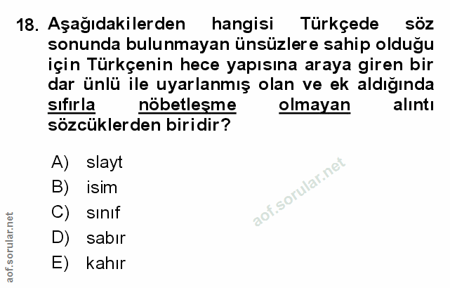 Soru 18