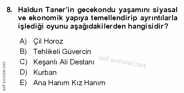 Soru 8