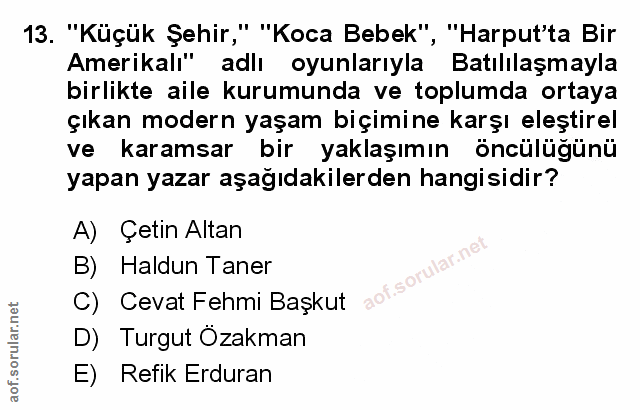 Soru 13