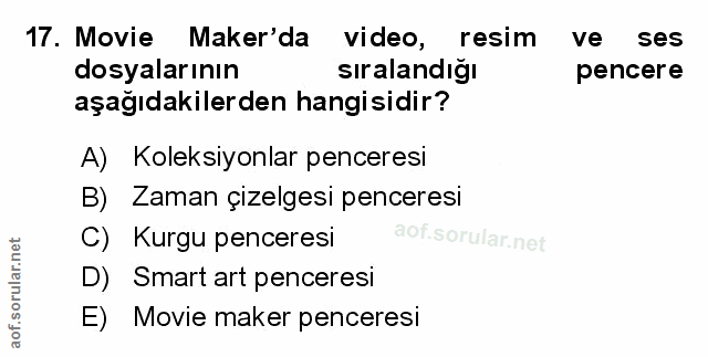 Soru 17
