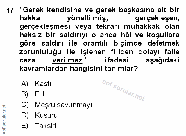 Soru 17