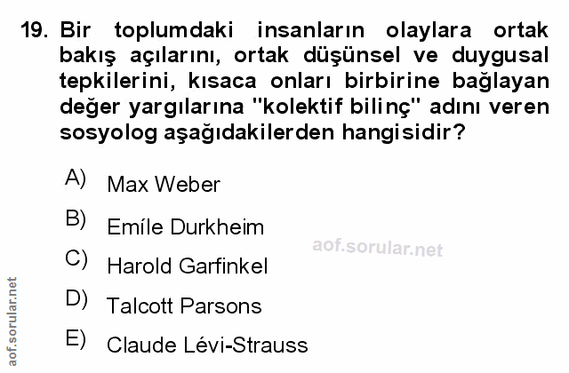 Soru 19