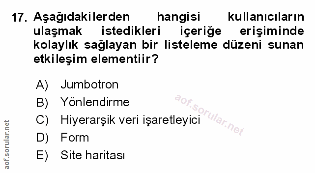 Soru 17