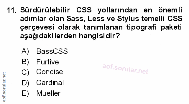 Soru 11