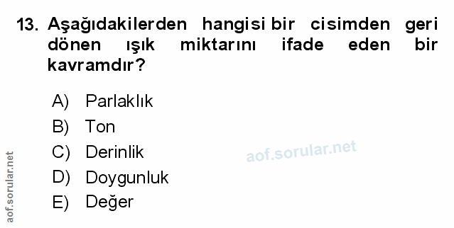 Soru 13