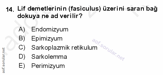 Soru 14