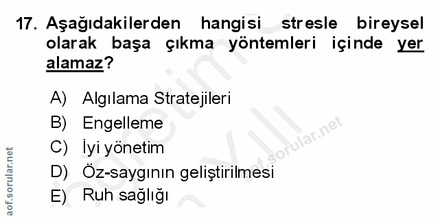 Soru 17