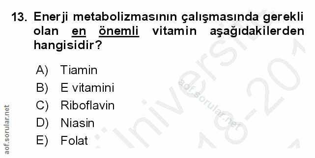 Soru 13