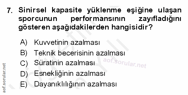 Soru 7