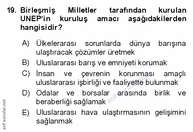 Soru 19