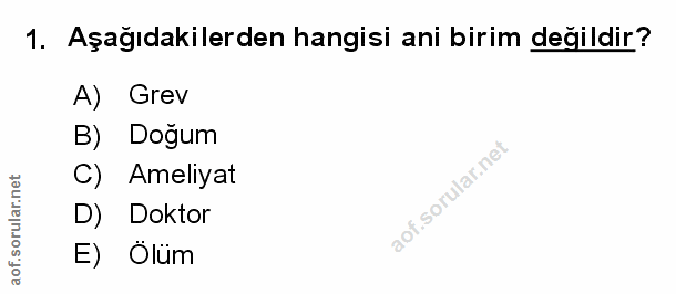 Soru 1