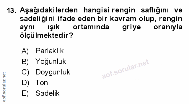 Soru 13