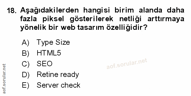 Soru 18