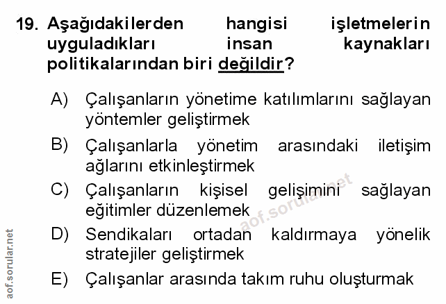 Soru 19