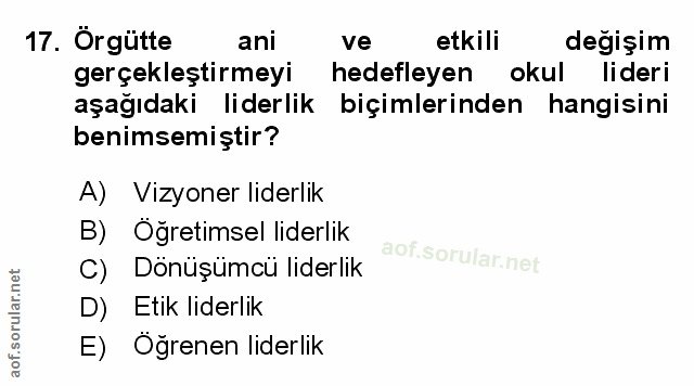 Soru 17