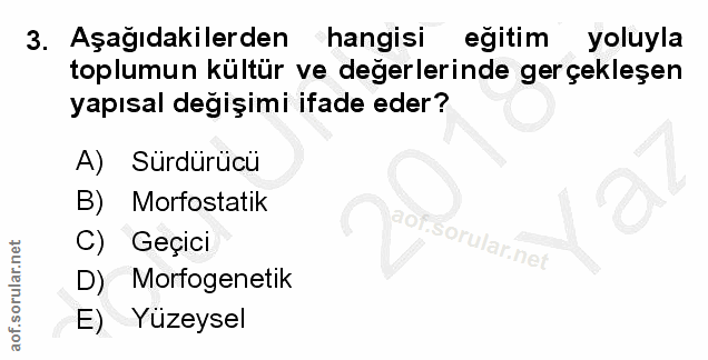 Soru 3