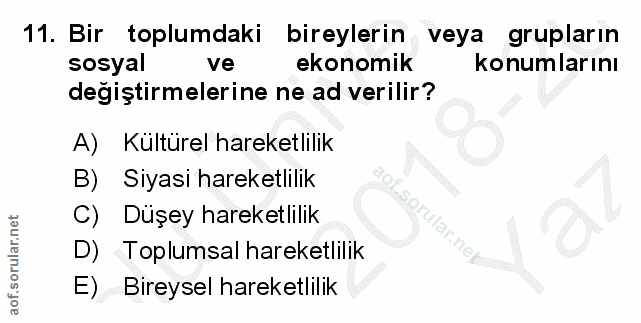 Soru 11