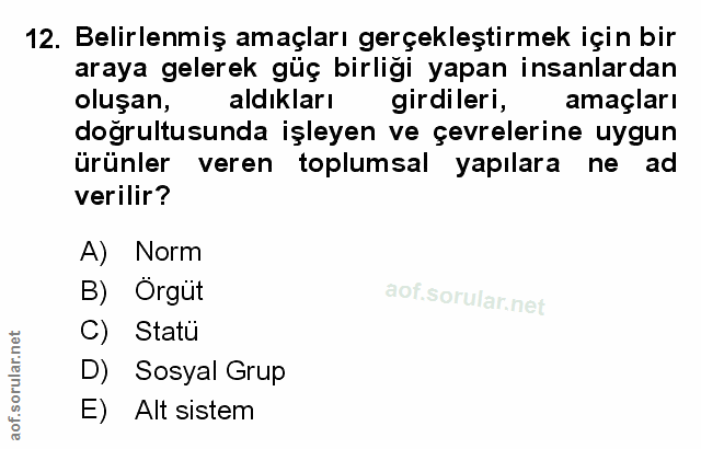 Soru 12