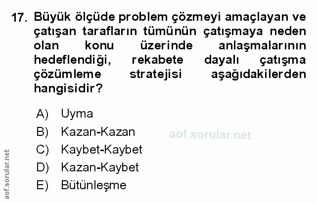 Soru 17