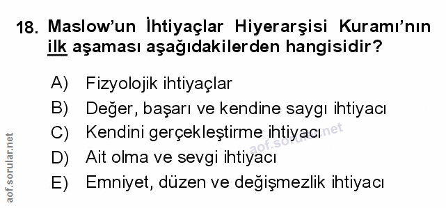 Soru 18