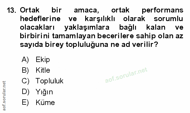 Soru 13
