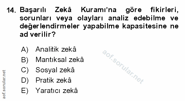 Soru 14
