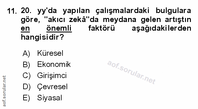 Soru 11