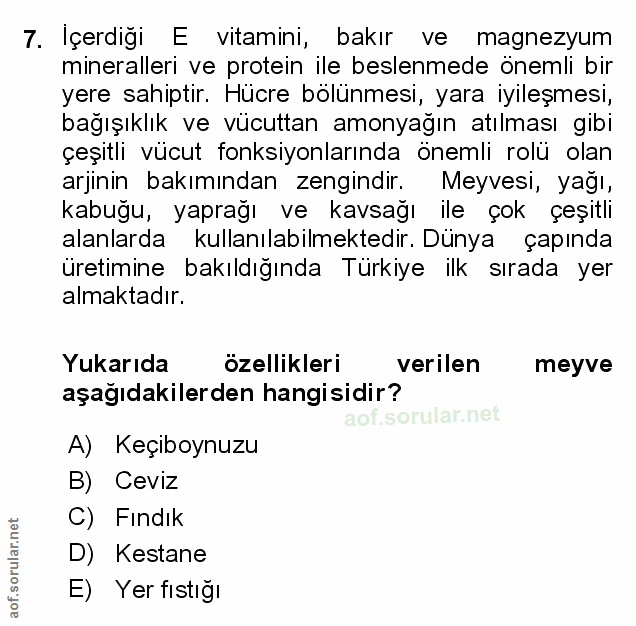Soru 7