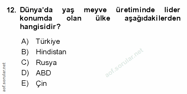 Soru 12