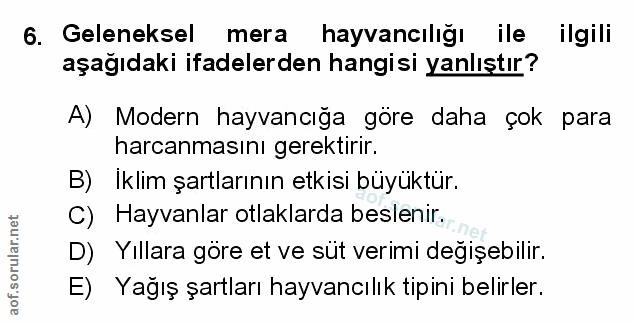 Soru 6