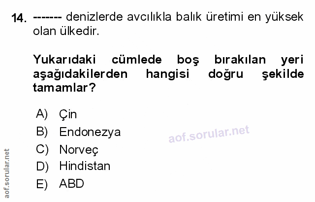 Soru 14