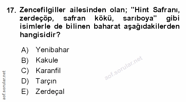 Soru 17