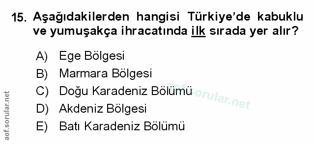 Soru 15