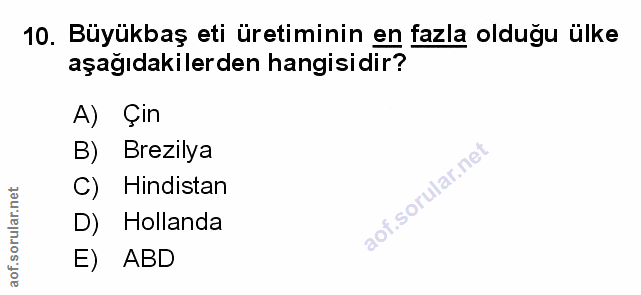 Soru 10