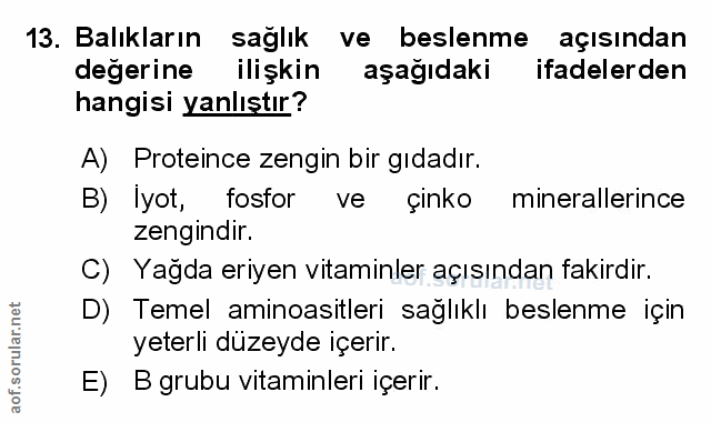 Soru 13