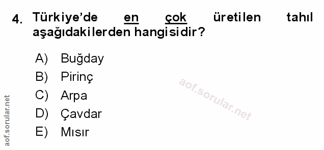 Soru 4