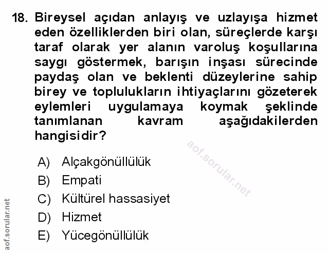 Soru 18