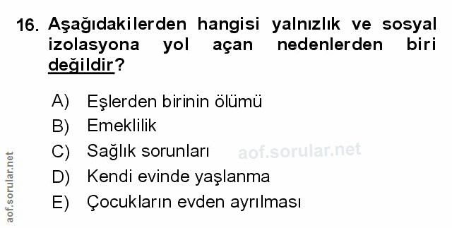 Soru 16