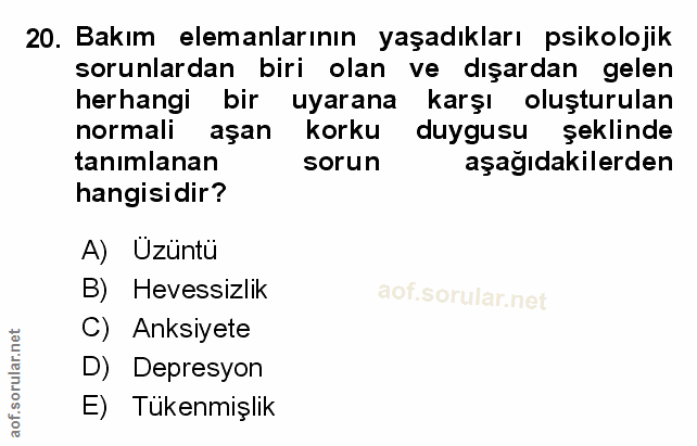 Soru 20