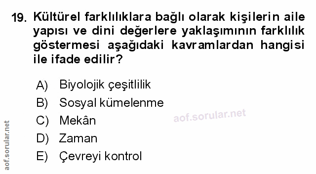 Soru 19