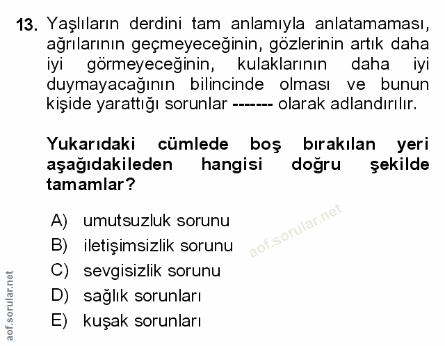Soru 13