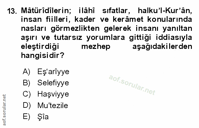 Soru 13