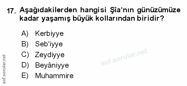 Soru 17