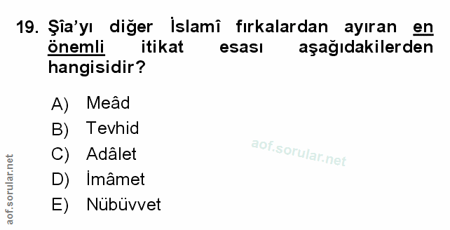 Soru 19
