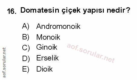 Soru 16